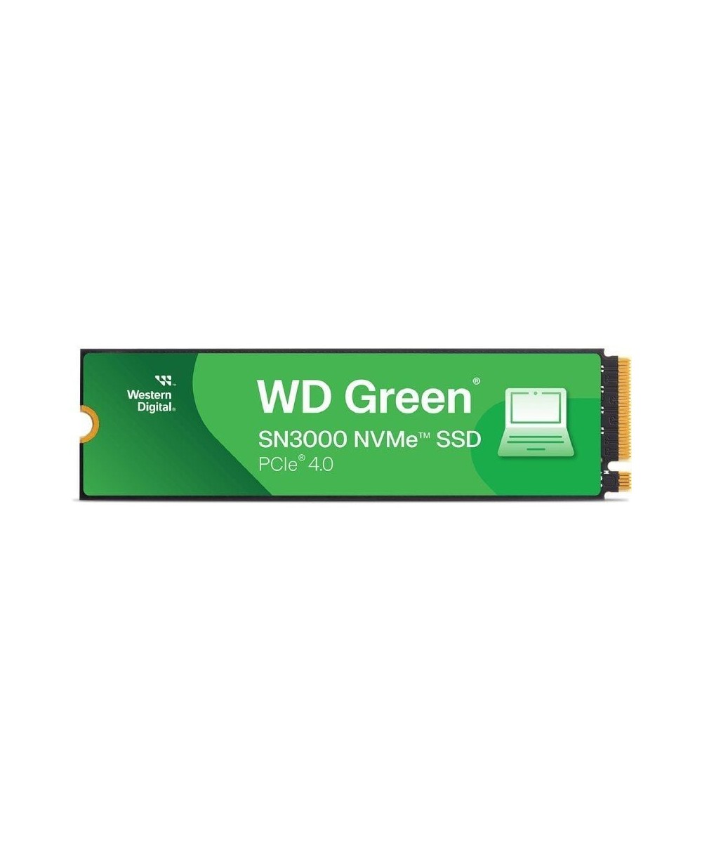 Disco SSD Western Digital WD Green SN3000 1TB M.2