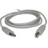 Cable USB Impresora 3M
