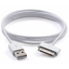 Cable USB Datos Carga Iphone 4 Ipad 1,2,3