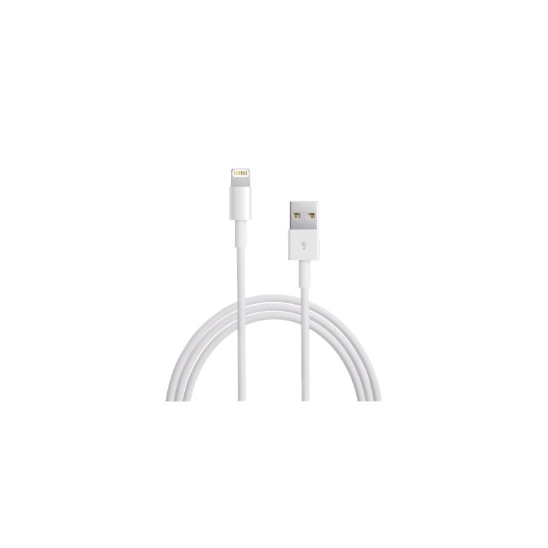 Cable Usb Iphone Ipad Lightning Original 1M MD818ZM