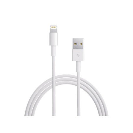Cable Usb Iphone Ipad Lightning Original 1M MD818ZM